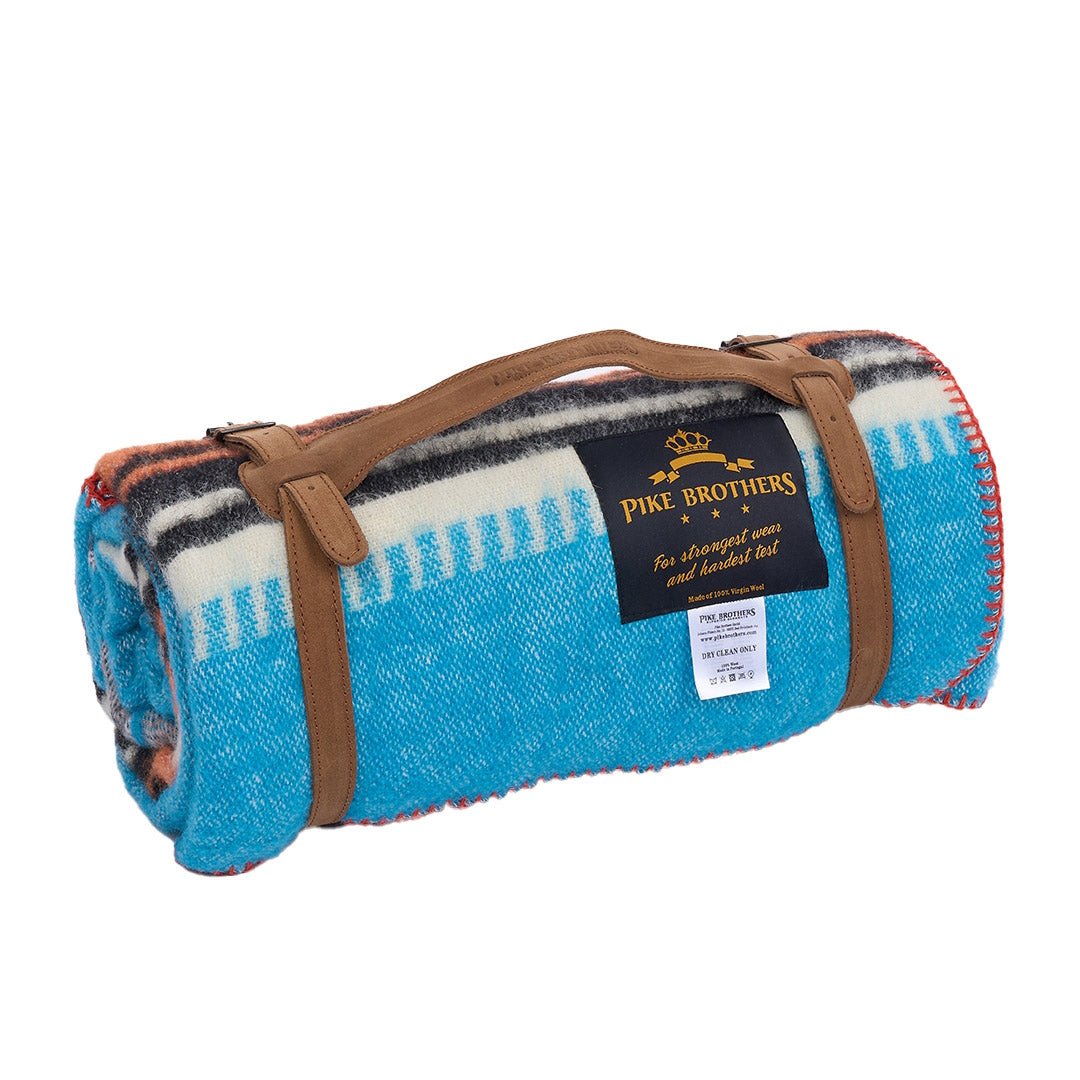 Pike Brothers1969 La Mesa plafond BlueCouverturesBritish Parts Luzern