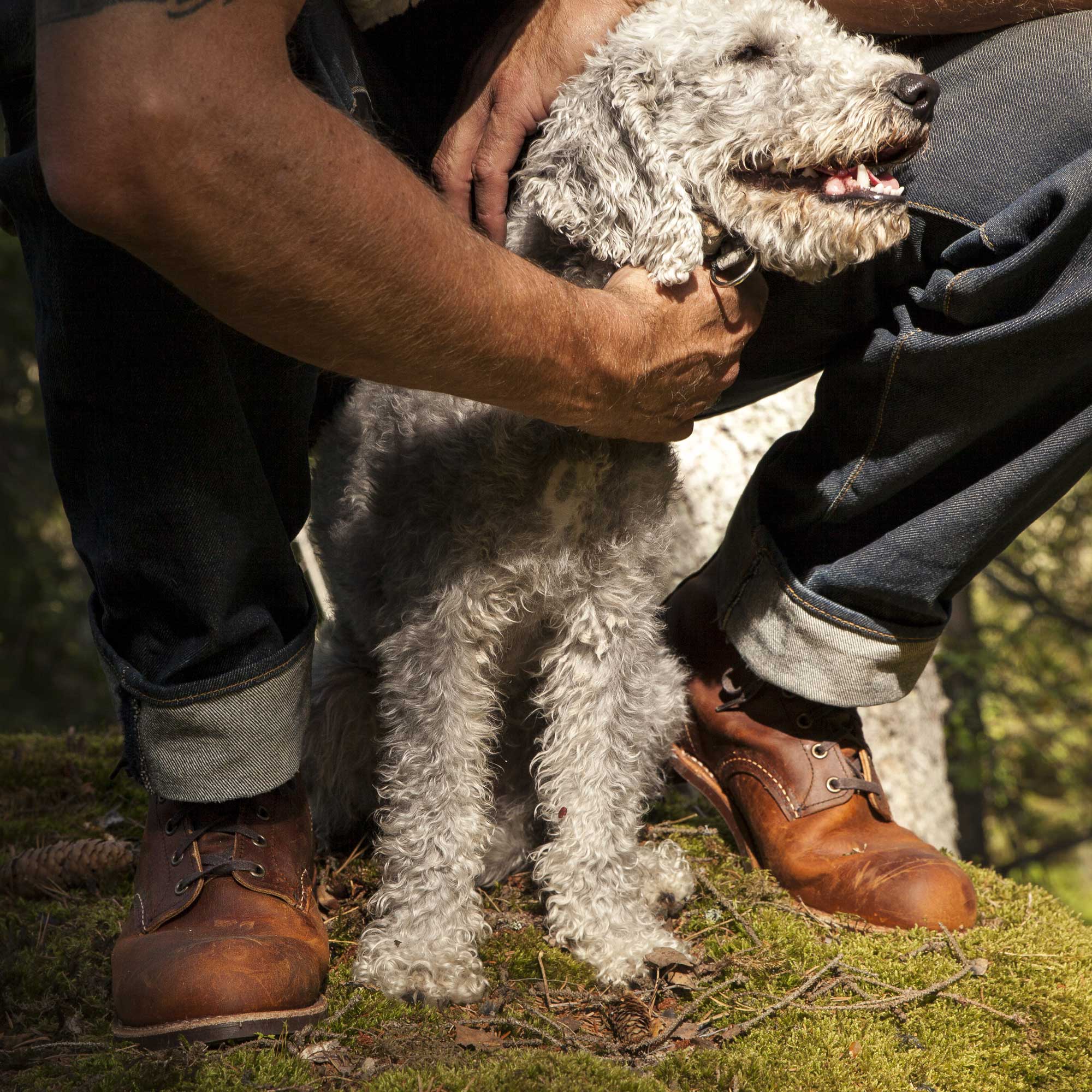 Red Wing ShoesBlacksmith 3343 Copper Rough & Tough Chaussures pour hommesChaussuresBritish Parts Lucerne