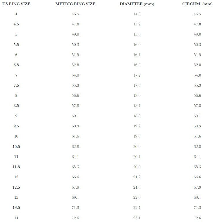 Studebaker MetalsOtto Signet Ring - ArgentRingBritish Parts Luzern